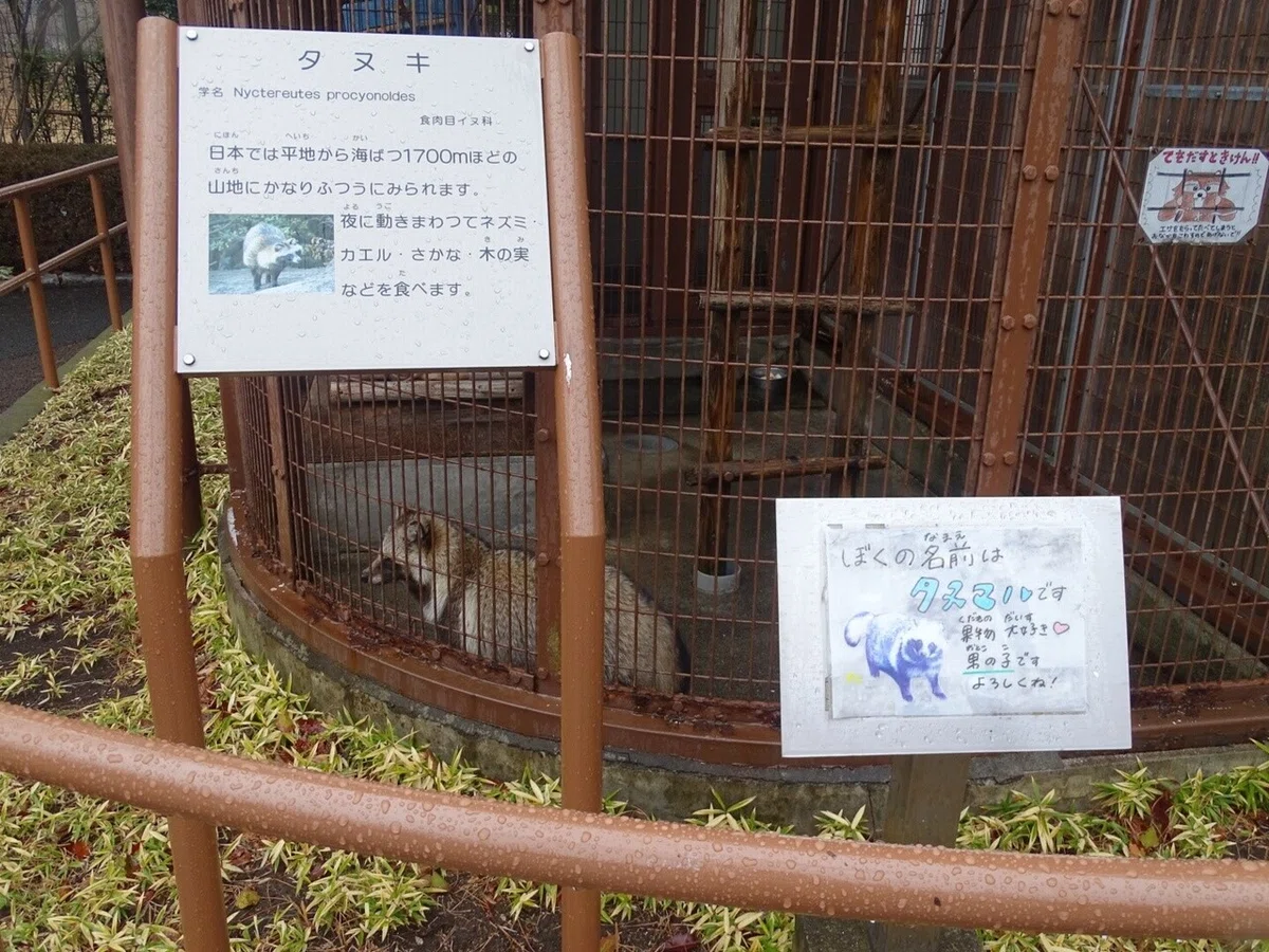 画像11