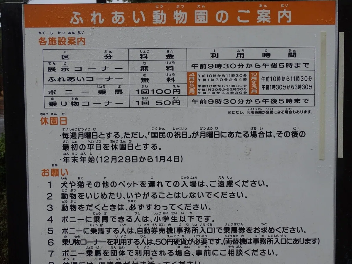 画像14