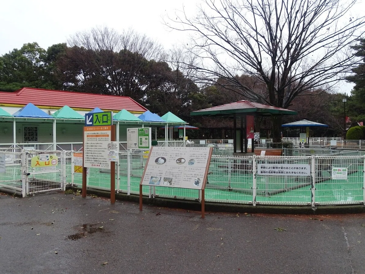 画像16