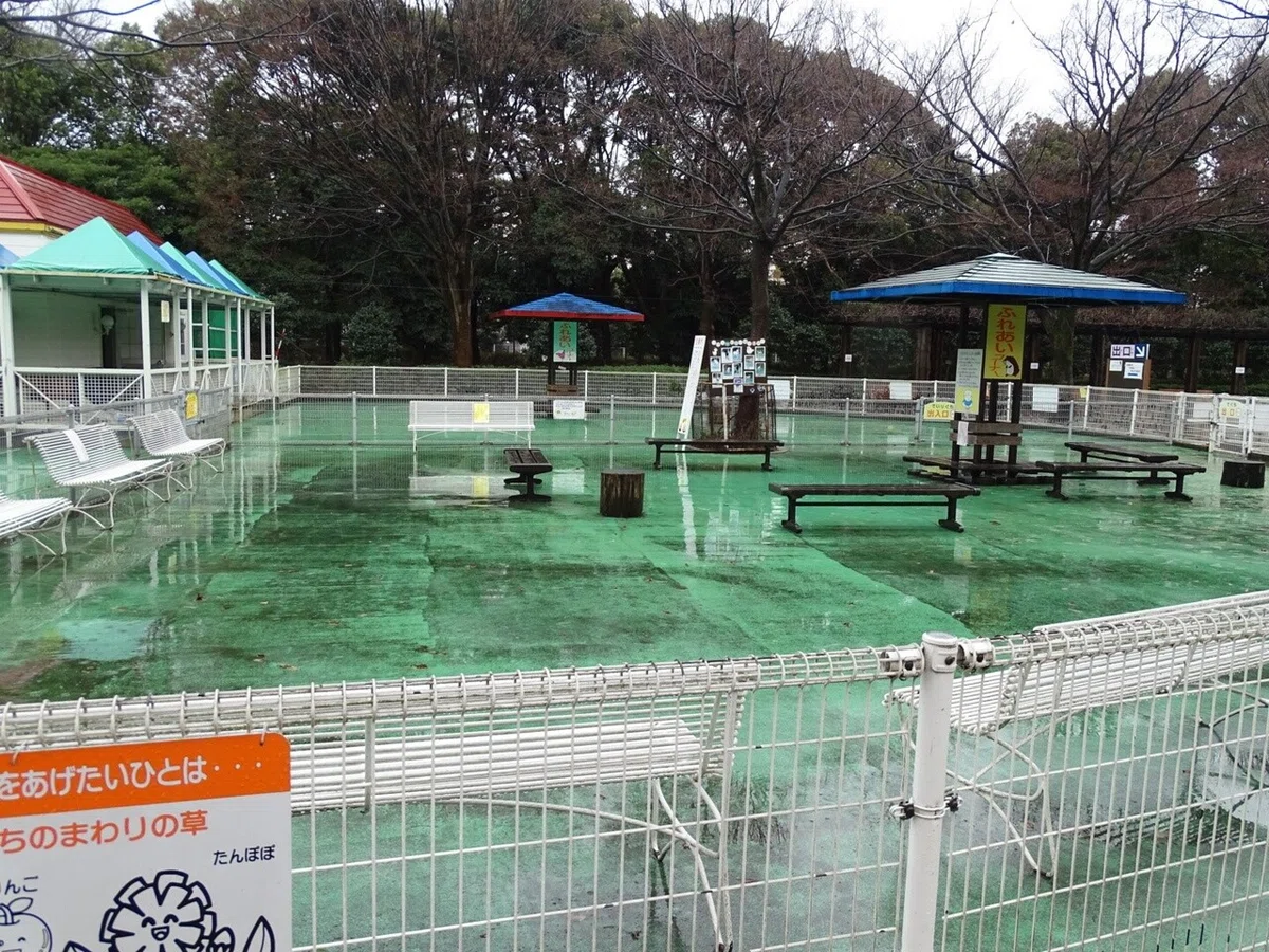 画像17