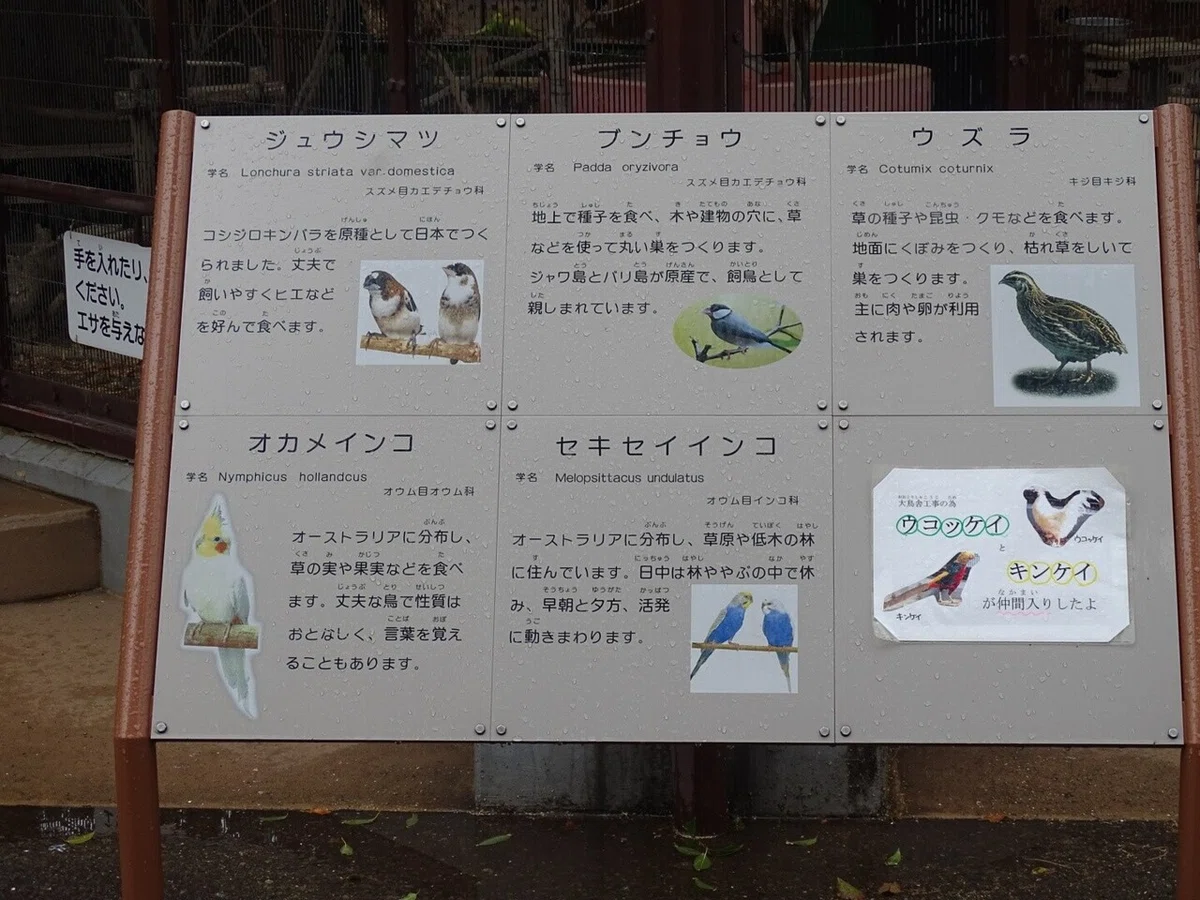 画像24