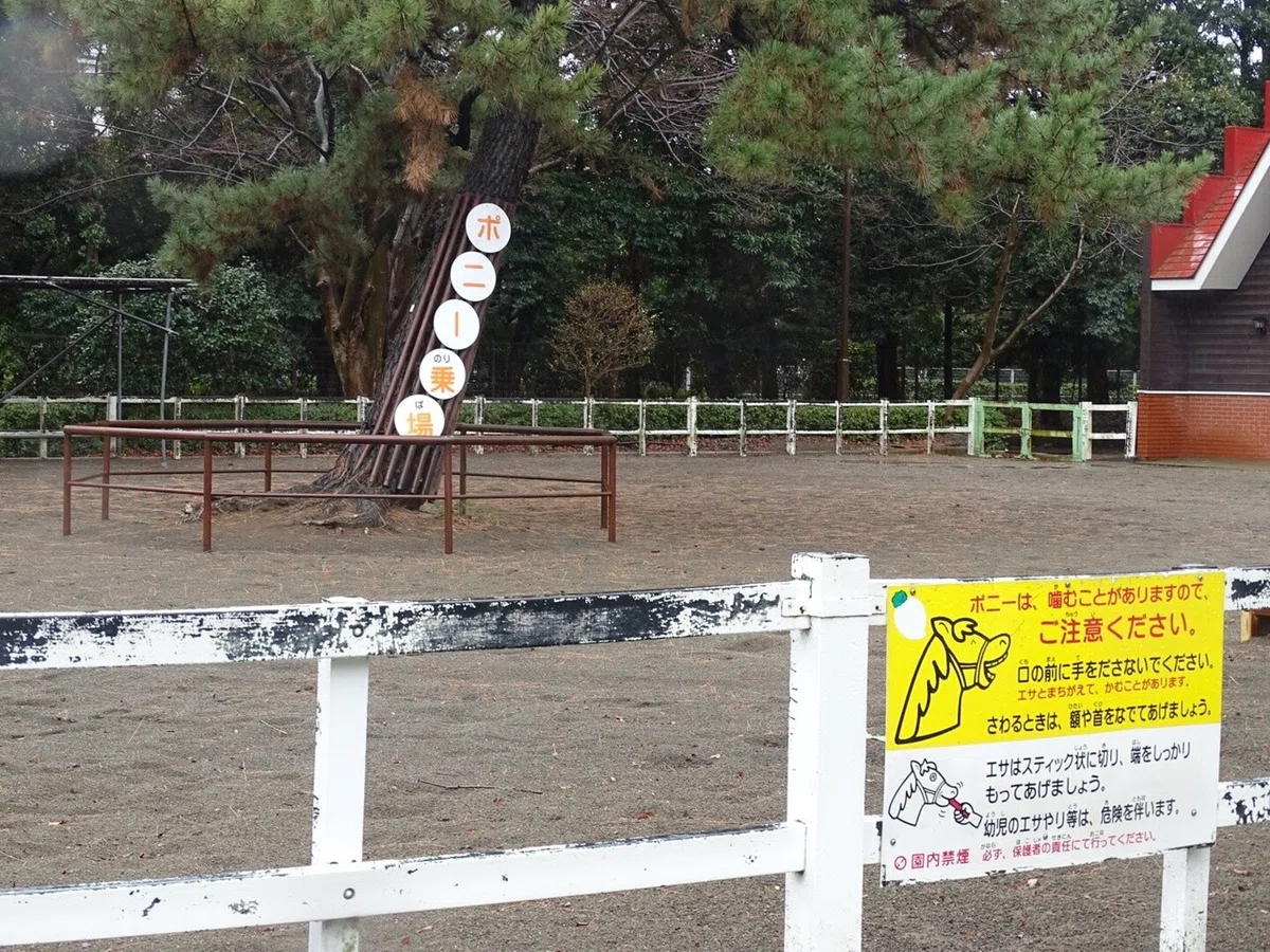 画像26