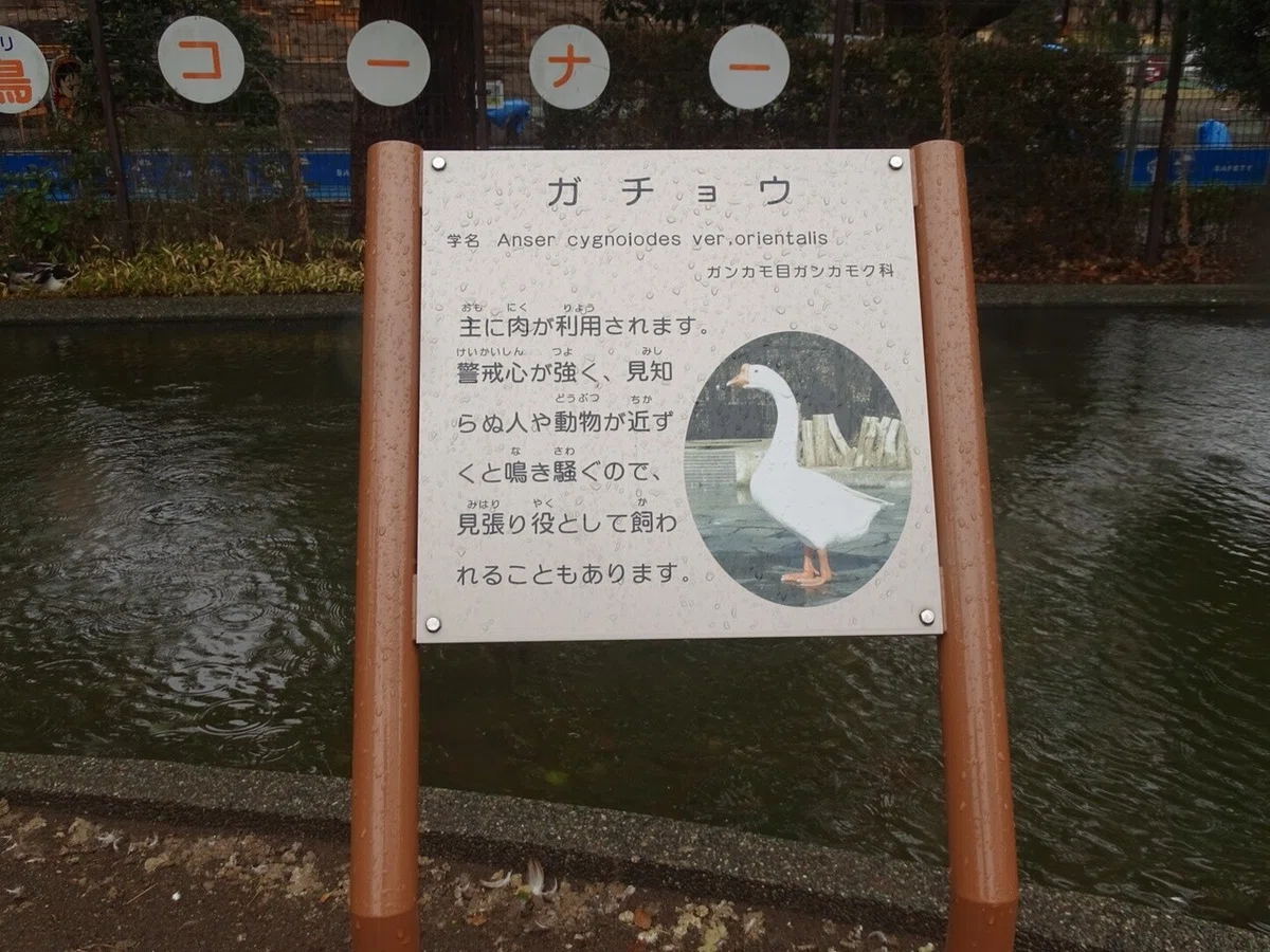 画像31