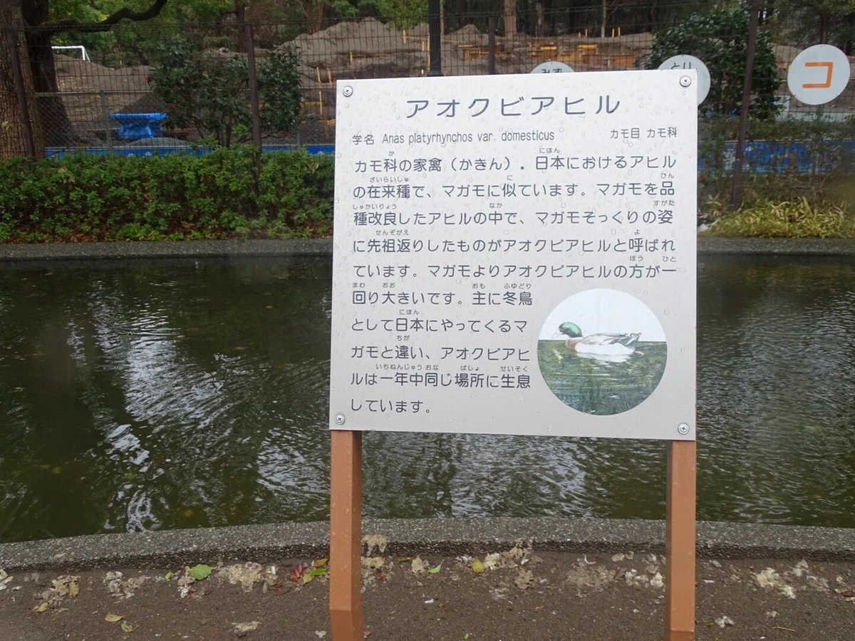 画像32