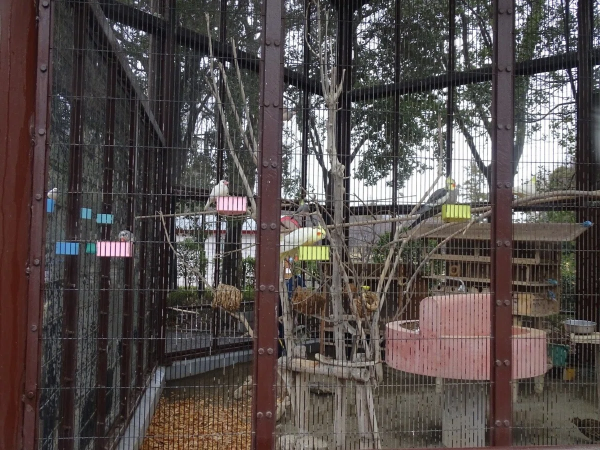 画像41
