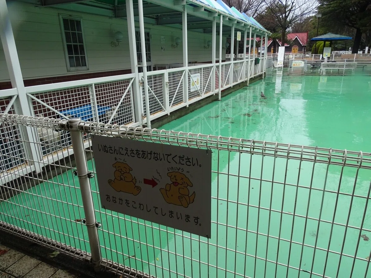 画像49