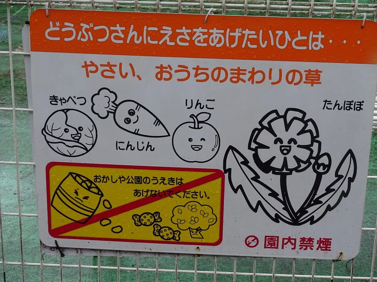 画像44