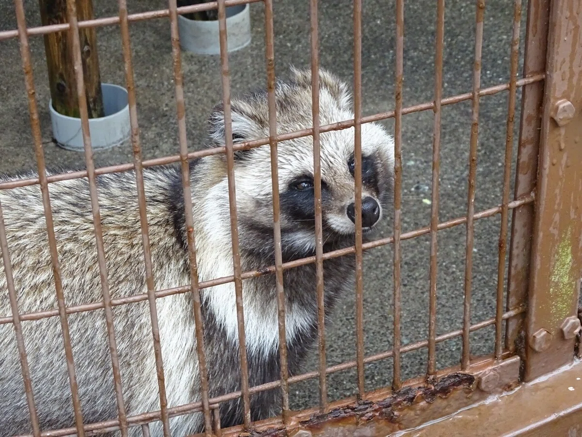 画像47