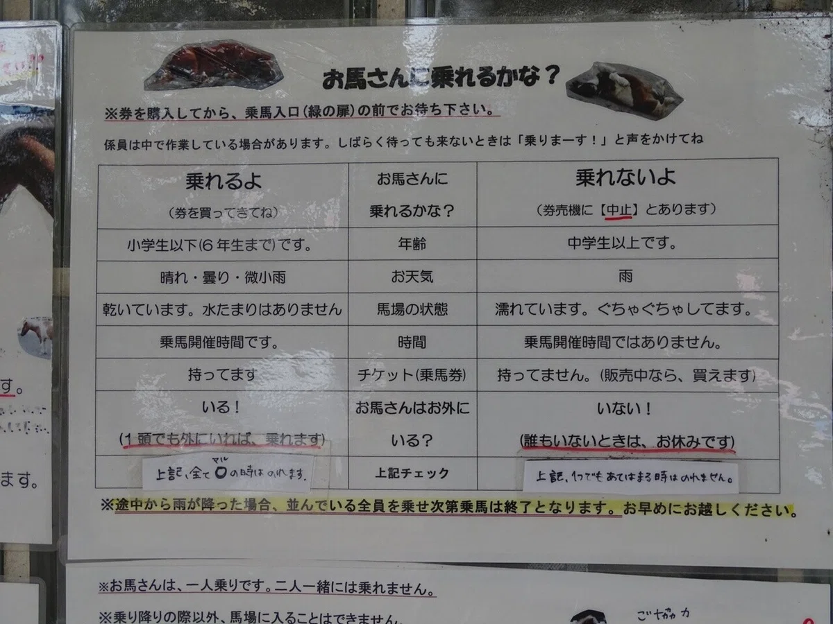画像50