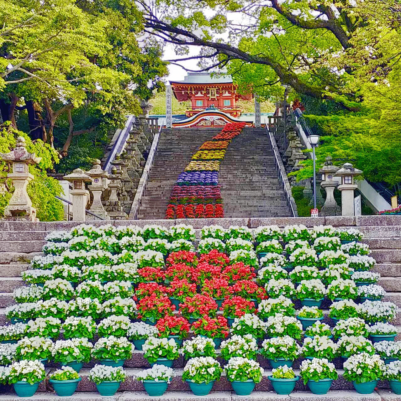 山口イベント情報 日本三大天満宮のひとつ防府天満宮で花回廊イベントを実施中 5月15日まで 毎年この時期にやってます 今年のテーマは 虹の架け橋 Www Hofutenmangu Eriko Note