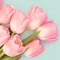 pinkpam