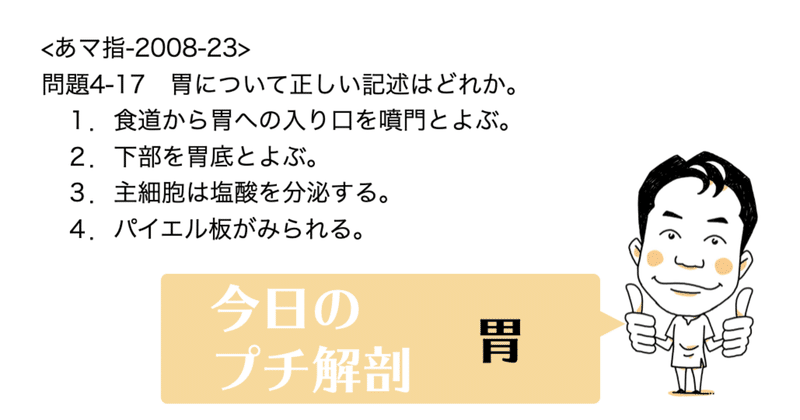 今日のプチ解剖 胃について正しい記述はどれ 黒澤一弘 Note