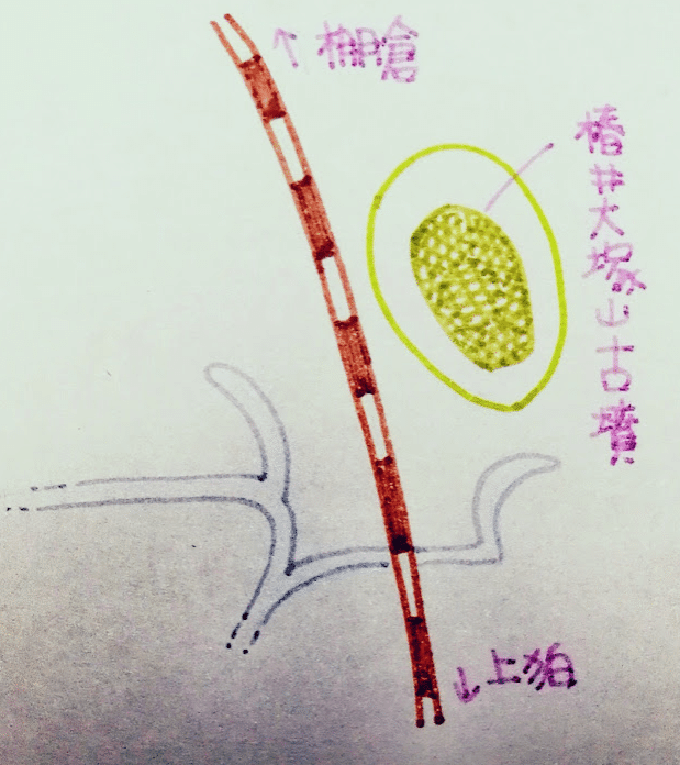 画像13