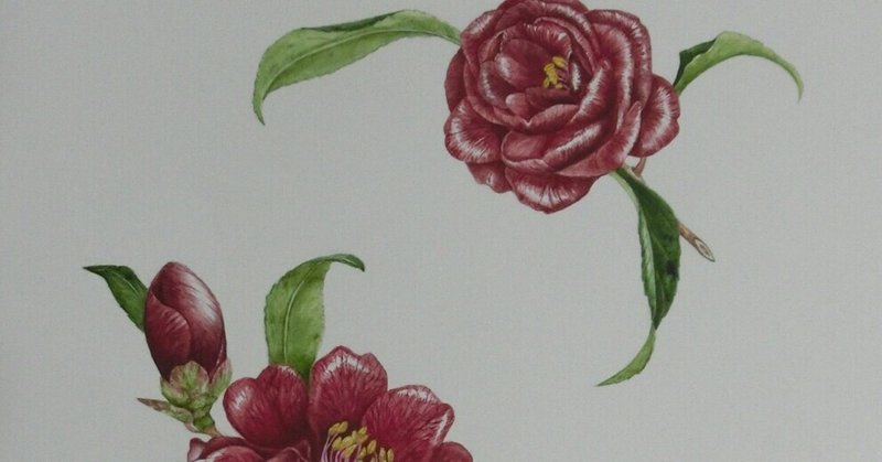 江戸椿 の新着タグ記事一覧 Note つくる つながる とどける