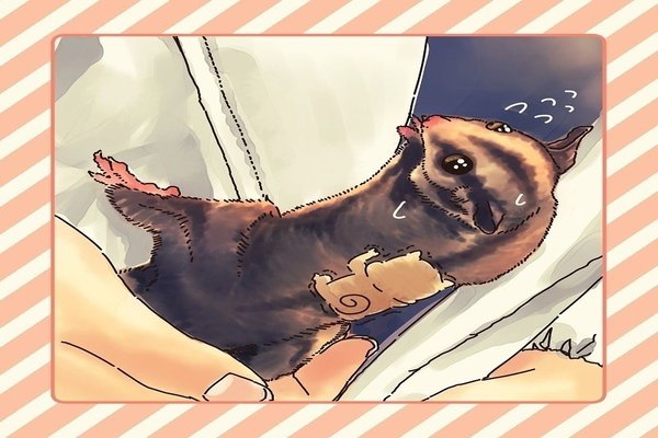 アメリカモモンガ の新着タグ記事一覧 Note つくる つながる とどける