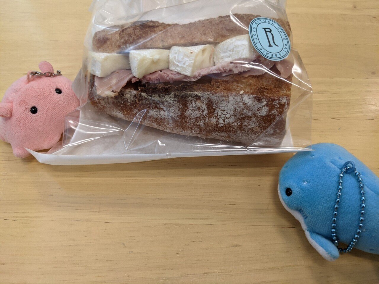 めんだこ日記２４８ ぼく何匹分の距離なんだろう めんだこ日記 連続投稿挑戦中 405日目 Note