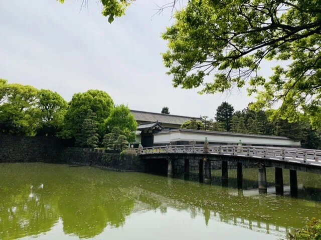 画像9