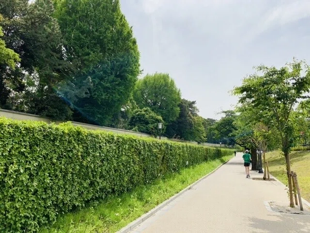 画像14