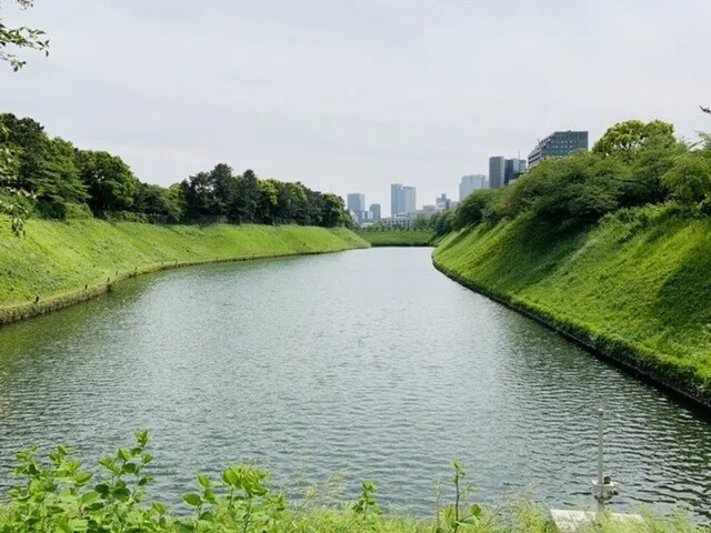 画像16