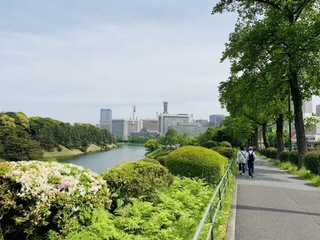 画像19