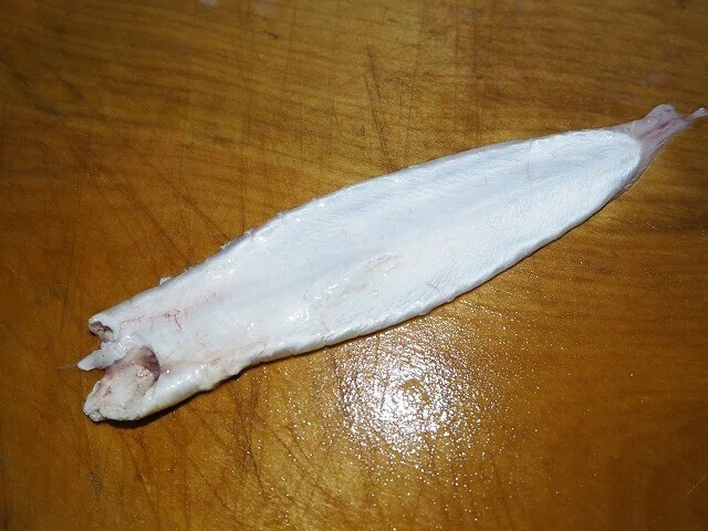 「ニベ」という魚|滄漣舎 _ Sorensha