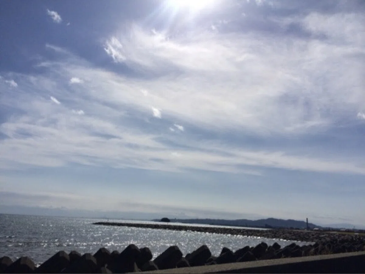画像1