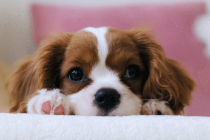 人の輪に入れない 集団が苦手 そんな不安をラクにする3step ゆき丨本音で生きたいアナタを応援 Note