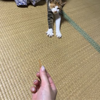 トップに移動