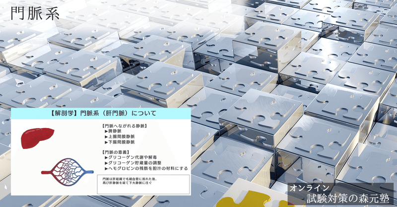 解剖学 図解 イラスト とゴロあわせで簡単に覚える 門脈系 肝門脈 側副路 森元塾 国家試験対策 Note