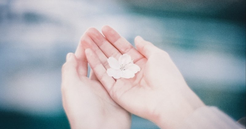 「はじめての採用」をスタートしようとしているあなたへ