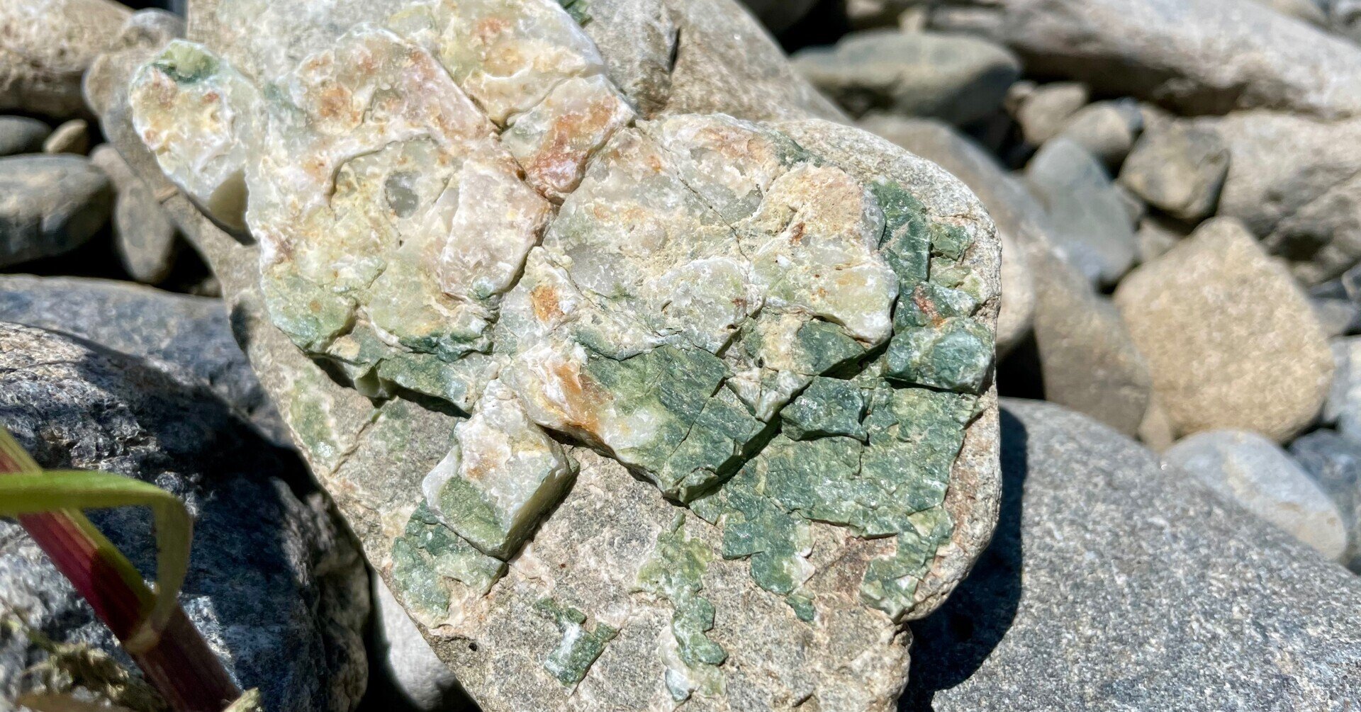 多摩川で石を拾いたい Njrecalls Note 多摩川で石を拾いたい Njrecalls Note