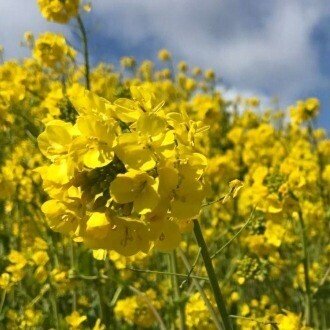 おはようございます 269 つむぐ です 今日は早朝より 一泊で出かけてまいります 今 やりたいことを実現させるためには まず最初に何をするべきなのか そのことで頭がいっぱいです 見守ってく 269 つむぐ Note おはようございます 269 つむぐ です 今日は早朝より 一泊で出かけてまいります 今 やりたいことを実現させるためには まず最初に何をするべきなのか そのことで頭がいっぱいです 見守ってく 269 つむぐ Note