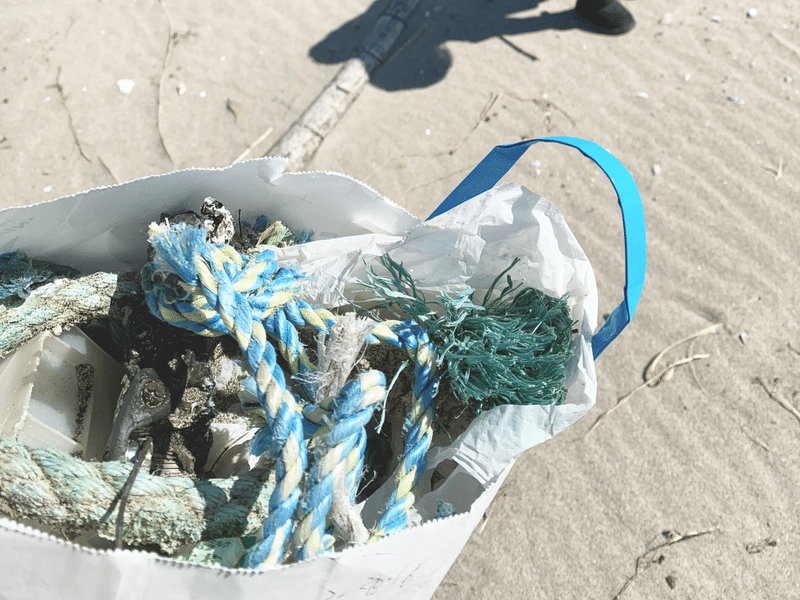 お気に入りの流木を見つけよう ビーチコーミングのすすめ Macrame Makers Japan Note