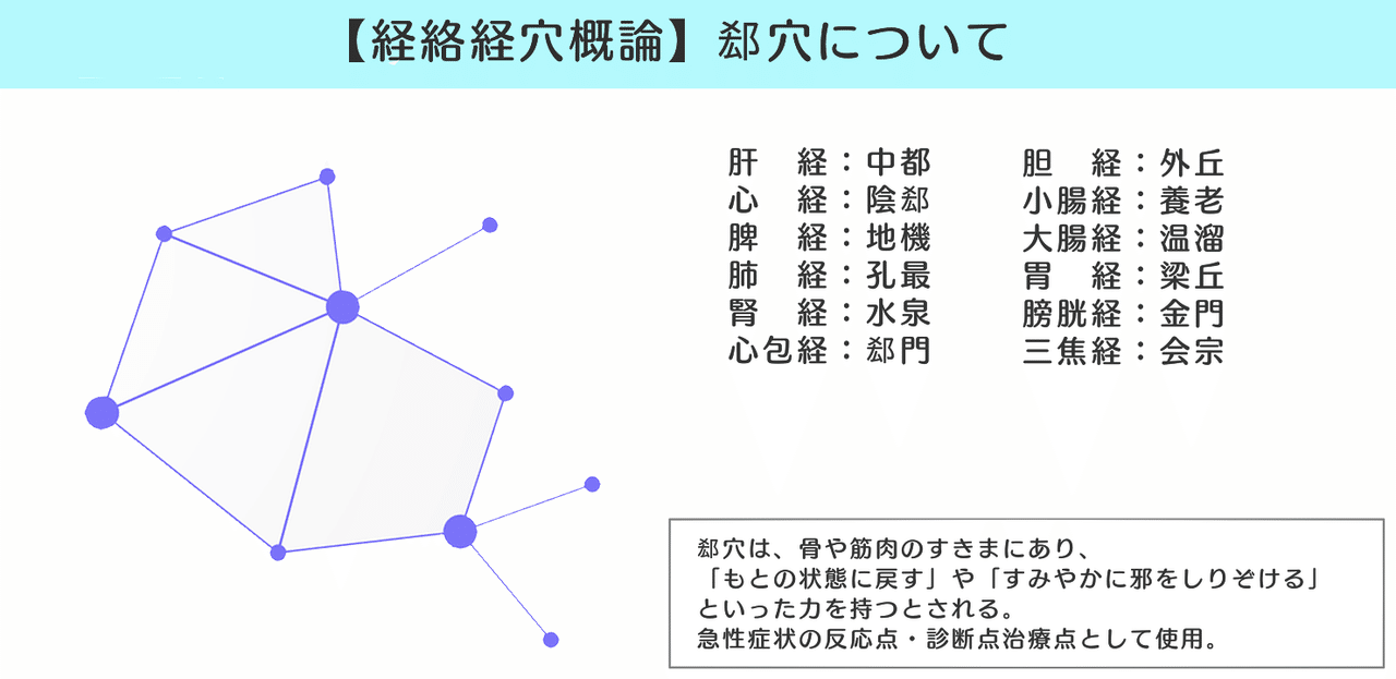 経絡経穴 図解 イラスト とゴロあわせで簡単に覚える 正経十二経脈 郄穴の取穴部位一覧 森元塾 国家試験対策 Note