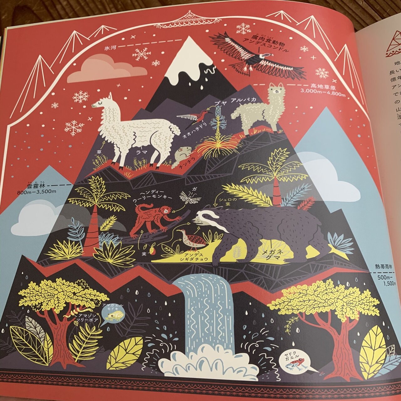 プラネットアース イラストで学ぶ生態系のしくみ 読書記録 楽しく生きる 第３実験室 Note