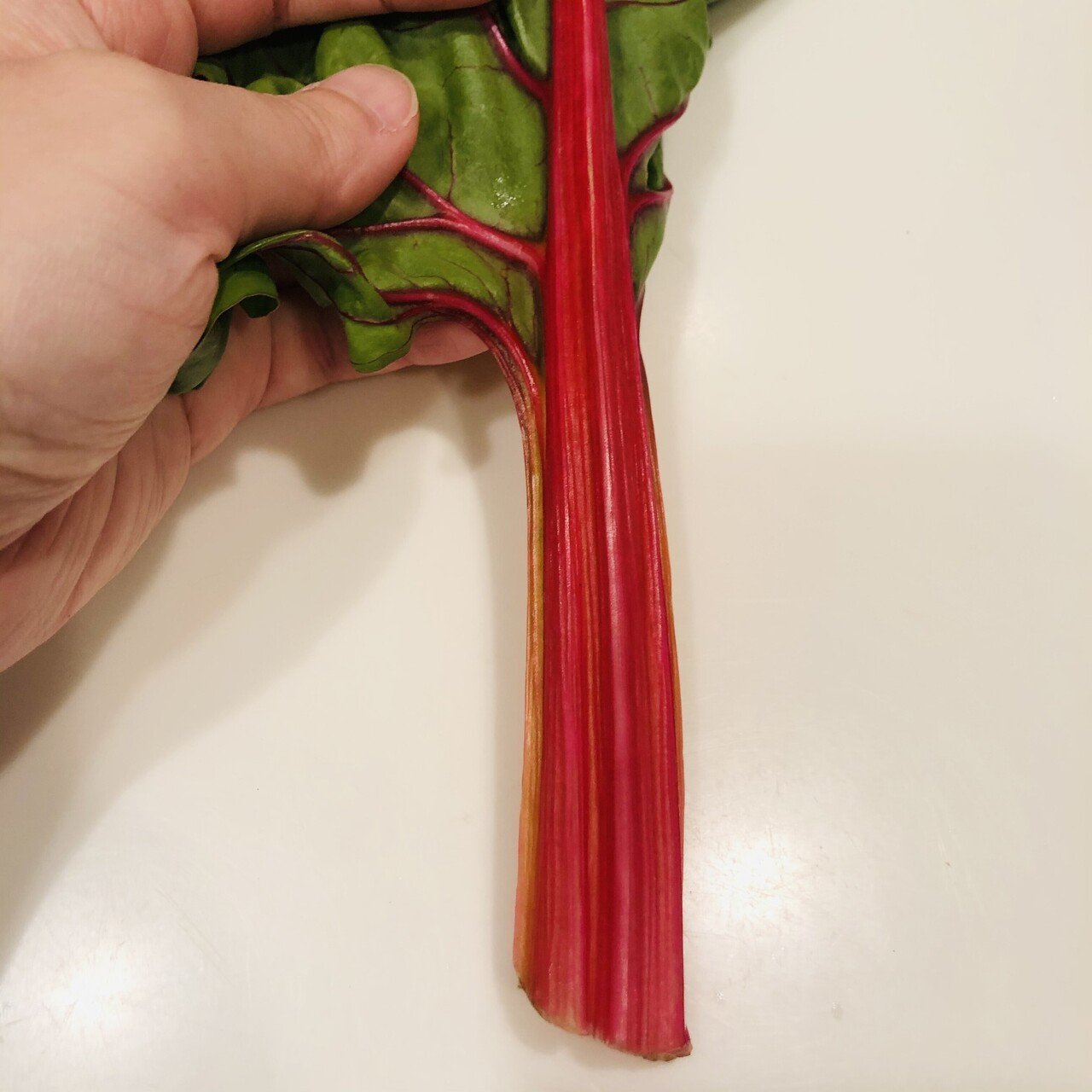 見た目に惑わされないで 生より蒸し煮の スイスチャード Kamai サラダがすき Note