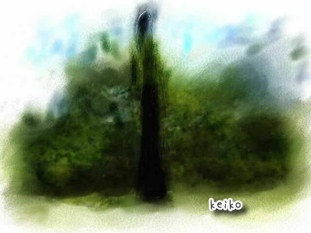 美容の大敵…砂糖(厚内のハルニレ)