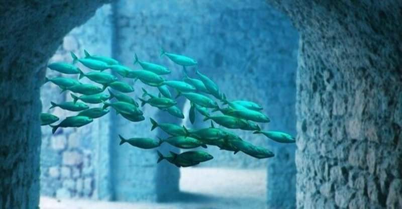 世界地図の見方を変えたダイビング 海底遺跡 与那国島 は人工物 自然物 戸川みゆき Note 世界地図の見方を変えたダイビング 海底遺跡 与那国島 は人工物 自然物 戸川みゆき Note
