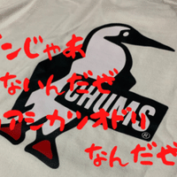 無人島に１つだけもっていくなら あなたなら何を Tomoぴこ Note
