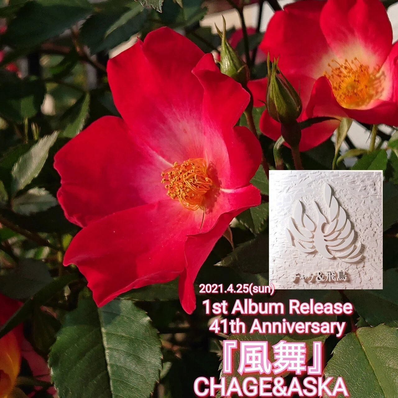 chage 作曲