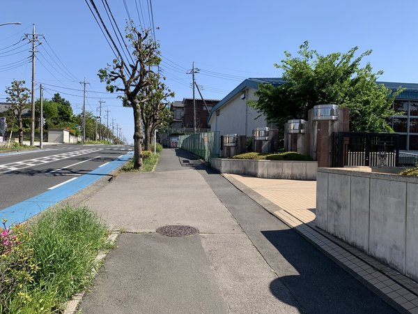 画像15