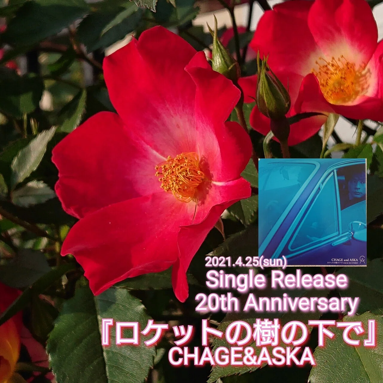 4月25日』はCHAGE&ASKA記念日びより｜ねね&杏寿