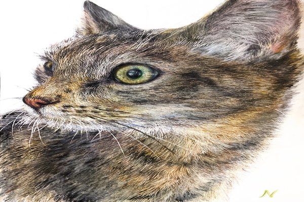 リアル絵 の新着タグ記事一覧 Note つくる つながる とどける