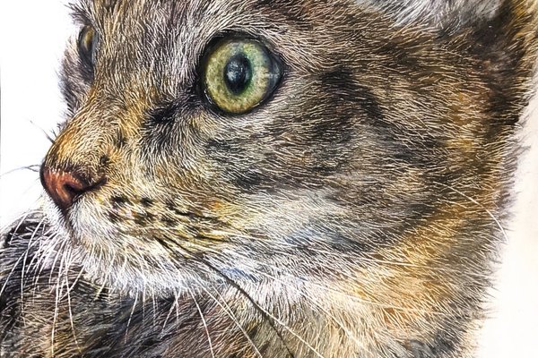 リアル絵 の新着タグ記事一覧 Note つくる つながる とどける リアル絵 の新着タグ記事一覧 Note つくる つながる とどける