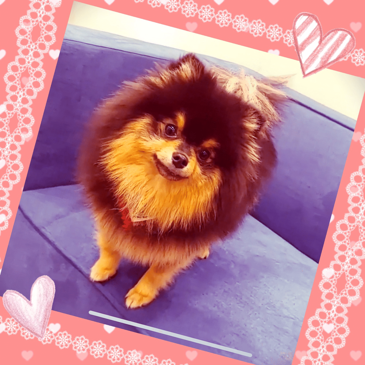 BTS V着用 ヨンタン前掛け BTS V着用 ヨンタン前掛け BTS V着用 ヨンタン前掛け テテ タレント