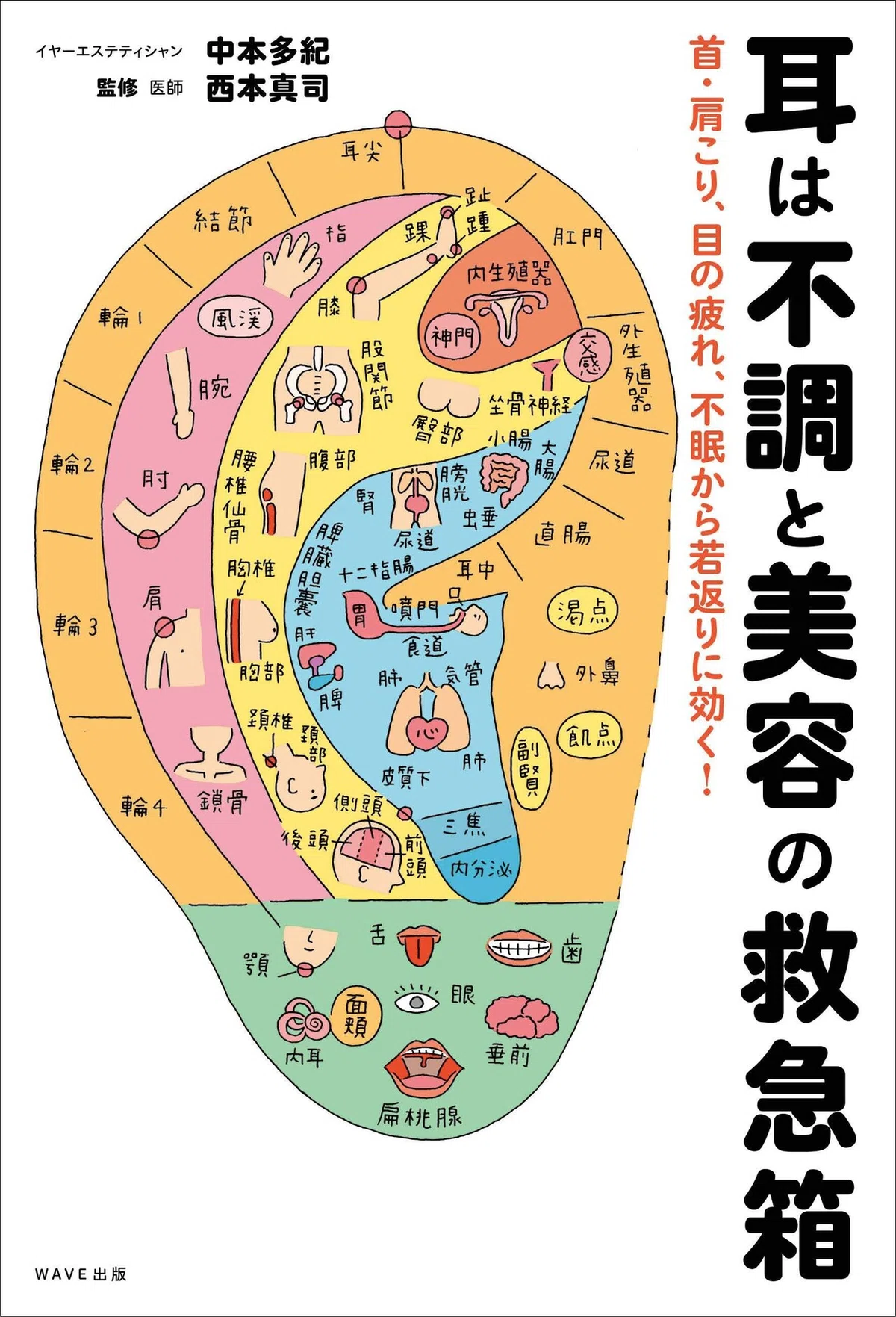 画像5