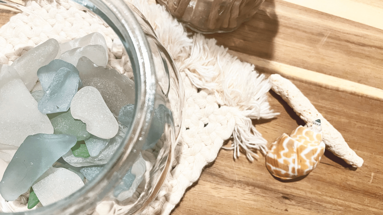 お気に入りの流木を見つけよう ビーチコーミングのすすめ Macrame Makers Japan Note お気に入りの流木を見つけよう ビーチコーミングのすすめ Macrame Makers Japan Note