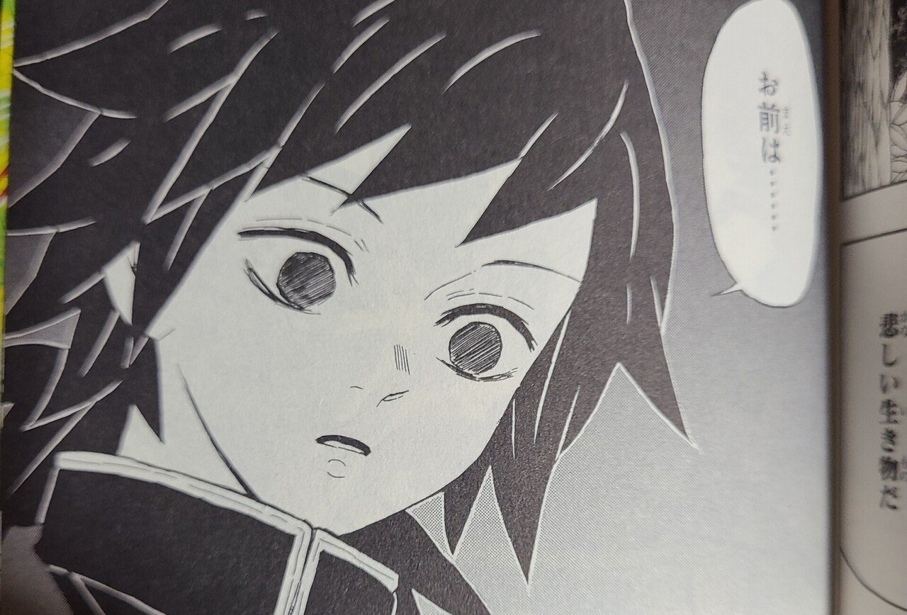 冨岡義勇の嫁♡ 竈門炭治郎 竈門禰豆子 鬼滅の刃」全七夜特別放送｜特別映像『そして無限城へ ～冨岡義勇編