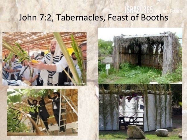 仮庵の祭り סוכותスコットsukkot Feast Of Tabernacles Feast Of Booth ライジング デスティニー Note 仮庵の祭り סוכותスコットsukkot Feast Of Tabernacles Feast Of Booth ライジング デスティニー Note