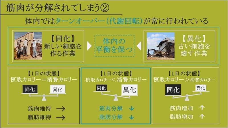 徹底図解 仕組みから理解するダイエット方法 筋トレ 減量 科学 フリート Note